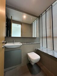 Skyline Residences (D4), Condominium #484797811